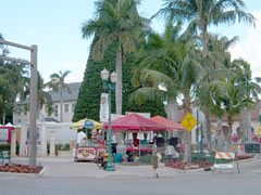 downtown delray